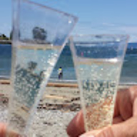 Meet your Posher, Geri - Picture 1 of 1